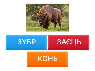 Читання з буквою З