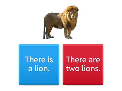 Animals Singular and Plural