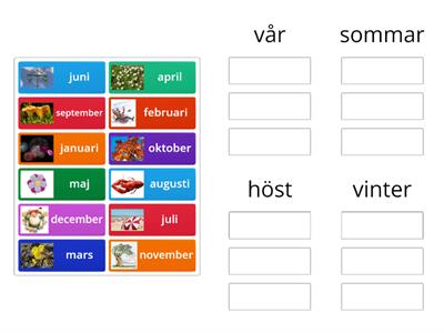 Sortera i grupper månader och årstider