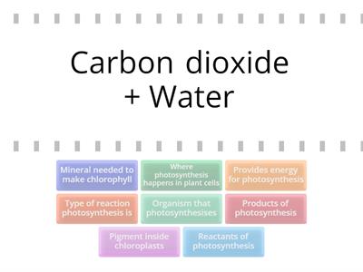 Photosynthesis Knowledge
