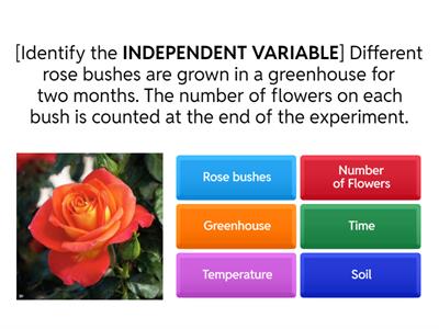 Variables (constants, independent, dependent...) 