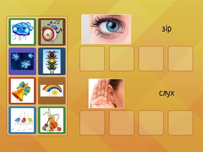 Зір та слух