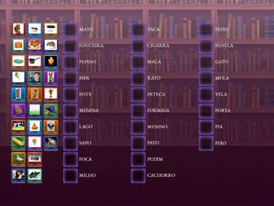 VOCABULÁRIO 1º ANO