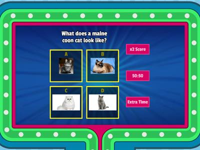  Cat Quiz (gameshow quiz)