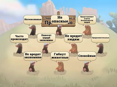 Выбери верное утверждение 