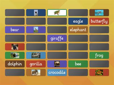 Solutions 3rd Elementary unit 6A