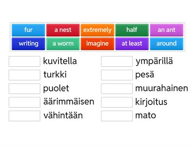 Go for it 6, kpl 2 sanasto
