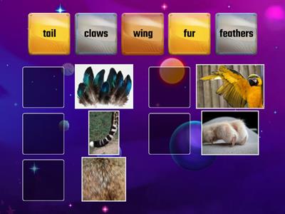 Wider World 2. Unit 3. Animal's body parts