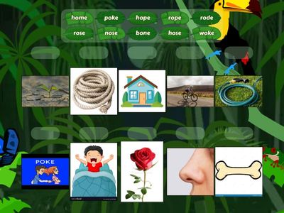 U3L2 The Clever Monkey