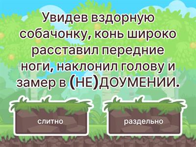 ЕГЭ 13. НЕ с существительными