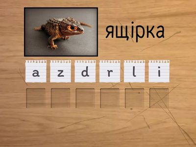 NM1 Unit 4 make a word