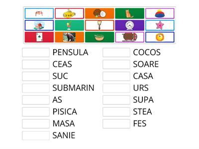 CITIM ȘI POTRIVIM -  CUVINTE CU S!