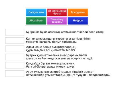 сәйкестендіру