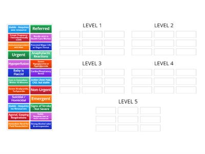 EMERGENCY SEVERITY INDEX (ESI)