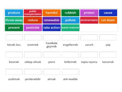 Environment Vocabulary