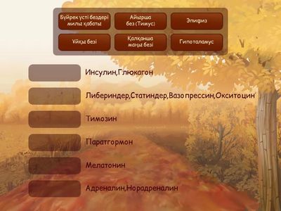 Эндокриндік бездер