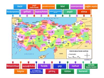 tarım ürünleri kpss 2024 güncel