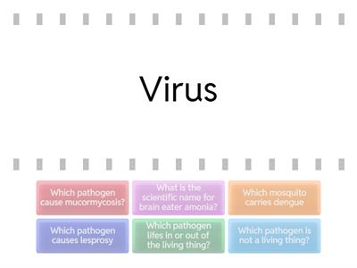 Year 6 Science pathogens