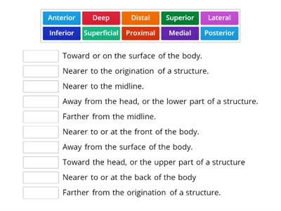 C01. Directional Term 1