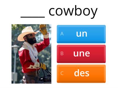 Indefinite articles in French