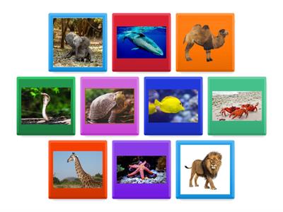 Animals Marins i de Sabana
