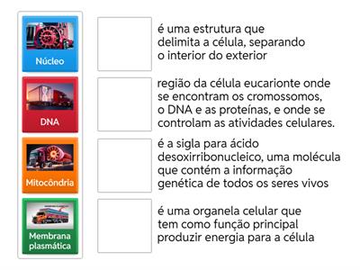 Estrutura molecular da célula hiperfoco caminhão