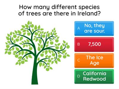 Tree Facts