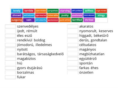 SOLUTIONS UPPER INT. U1. PERSONALITY ADJ. NR.2