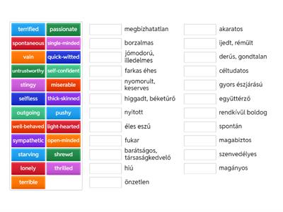 SOLUTIONS UPPER INT. U1. PERSONALITY ADJ. NR.2