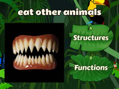 Is it a Structure or a Function 