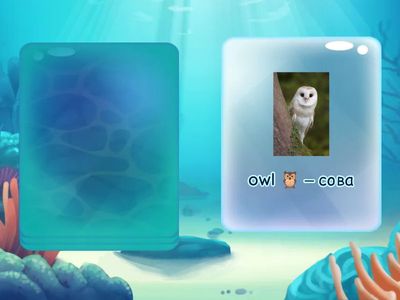 Words with letter Oo