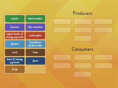Producers vs Consumers