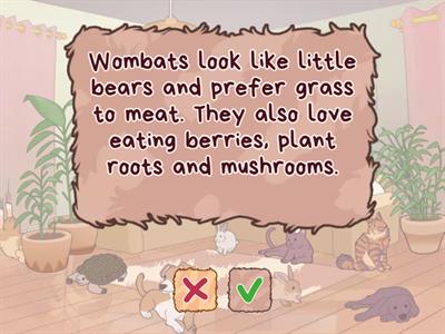 ОГЭ УЧ1 Wombats