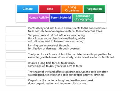 Soil Formation