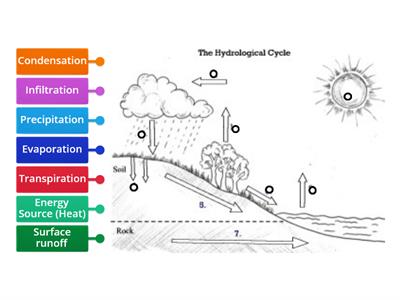 Water Cycle