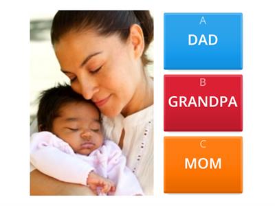 Family QUIZ young adult