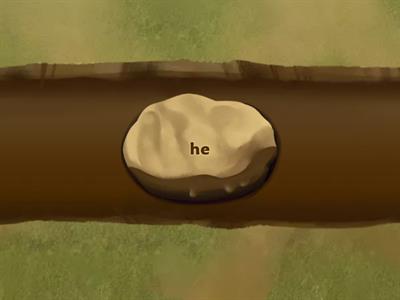 Rr words and Irregular Words