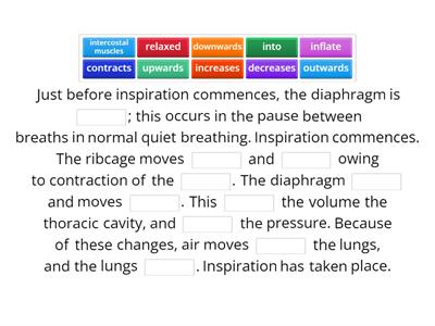 C05. Respira. Sys (4) - Mechanics