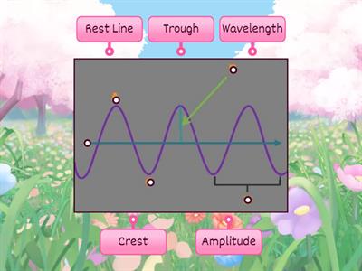 Label the parts of a TRANSVERSE WAVE