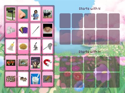 N and M Picture Sort