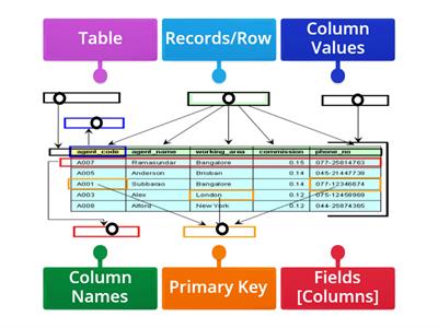 Database Table Breakdown