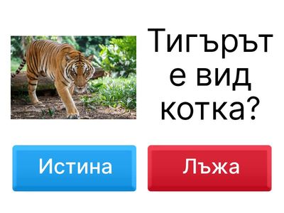 Тест по География