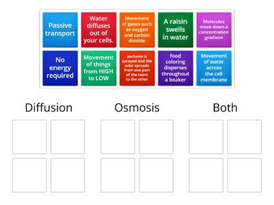 Diffusion vs. Osmosis Review