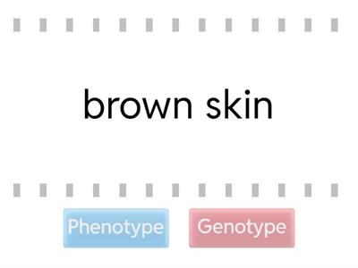 Phenotype or Genotype Race
