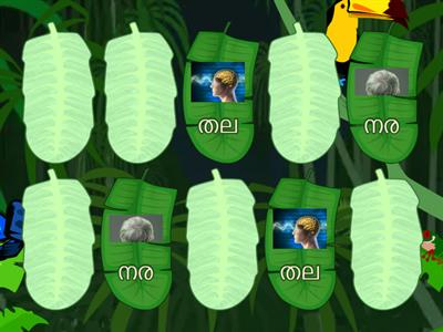 Matching Pairs grade 1