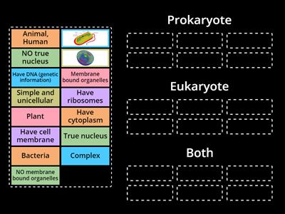 Prokaryote vs. Eukaryote Sort