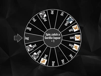 Spin G/J 