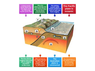 NZ subduction volcanoes