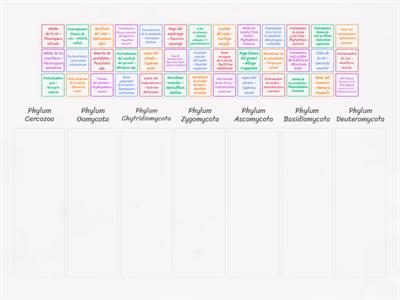 PHYLUM DE CADA ENFERMEDAD (SIN MYCETOZOA)