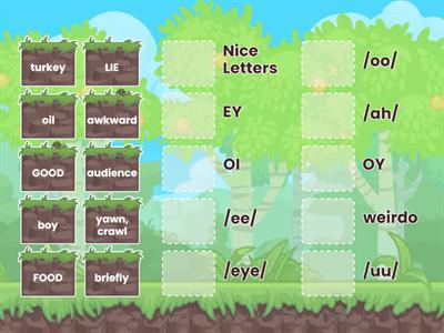 8.8 Vowel Team Practice